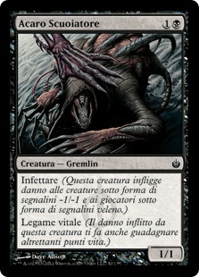 Acaro Scuoiatore