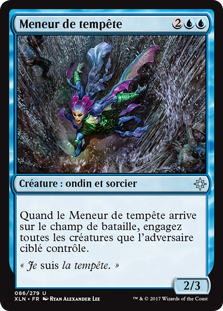 Meneur de tempête