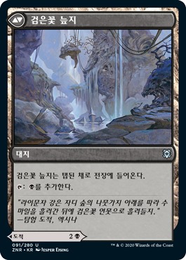 검은꽃 늪지