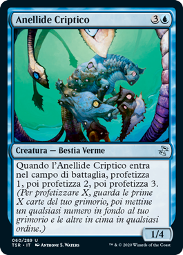 Anellide Criptico