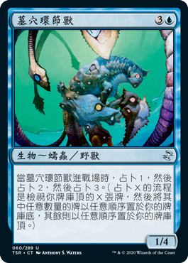 墓穴環節獸