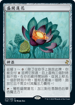 盛開蓮花