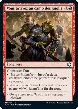 Vous arrivez au camp des gnolls