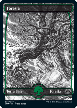 Foresta