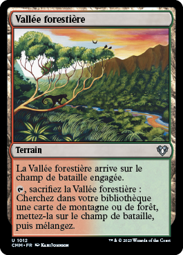 Vallée forestière
